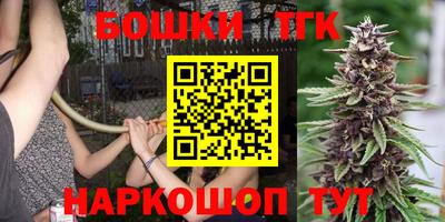 тгк Братск