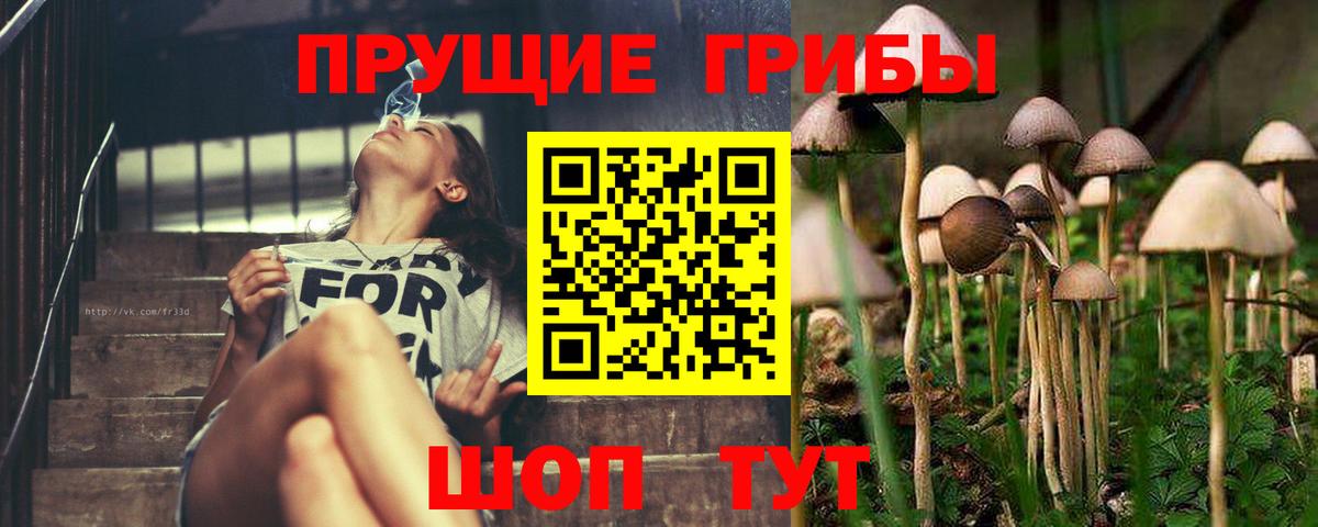 Псилоцибиновые грибы GOLDEN TEACHER Ахтубинск